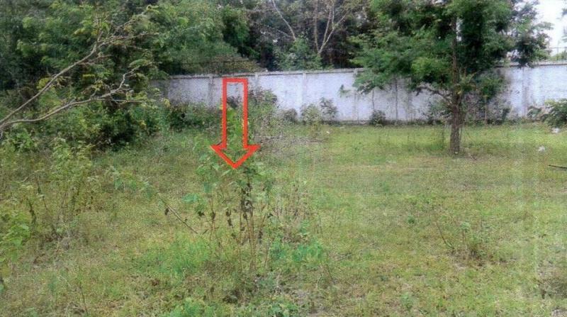 ที่ดินหลุดจำนอง ธ.ธนาคารอาคารสงเคราะห์ บุรีรัมย์ หนองกี่ -