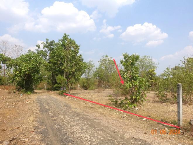 ที่ดินว่างเปล่าหลุดจำนอง ธ.ธนาคารกสิกรไทย บุรีรัมย์ เมืองบุรีรัมย์ อิสาณ
